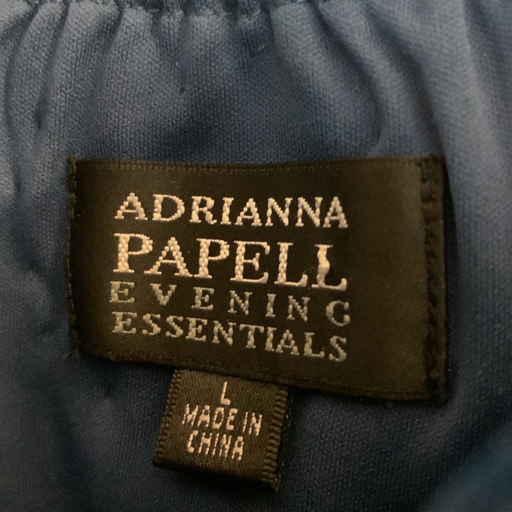 Gorgeous Adrianna Papell evening top - Picture 2 of 3